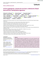 SCN1A pathogenic variants do not have a distinctive blood-derived DNA methylation signature
