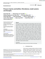 Pressure injuries and biofilms: Microbiome, model systems and therapies