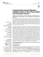 Targeting Macrophage Migration Inhibitory Factor in Acute Pancreatitis and Pancreatic Cancer