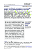 Aotearoa New Zealand's marine carbon cycle in a changing climate - Current understanding and future directions