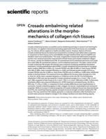 Crosado embalming related alterations in the morpho-mechanics of collagen rich tissues