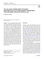 Two new species of kidney fluke (Trematoda: Renicolidae) from New Zealand penguins (Spheniscidae), with a description of Renicola websteraen. sp