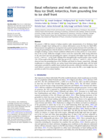 Basal reflectance and melt rates across the Ross Ice Shelf, Antarctica, from grounding line to ice shelf front