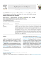 Potential link between copy number variation and abnormal genome wide DNA methylation profile in an individual with severe ADHD and a strong response to micronutrient treatment