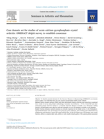 Core Domain Set for Studies of Acute Calcium Pyrophosphate Crystal Arthritis: OMERACT Delphi Survey to Establish Consensus