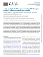 A High-quality Oxford Nanopore Assembly of the Hourglass Dolphin (Lagenorhynchus cruciger) Genome