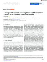Autologous Blood Patch and Lung Ultrasound for Persistent Air Leak in an Extremely Premature Neonate