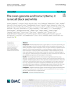 The swan genome and transcriptome, it is not all black and white