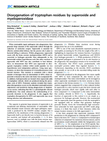 Dioxygenation of tryptophan residues by superoxide and myeloperoxidase