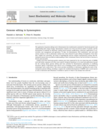 Genome editing in hymenoptera