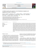 A biofilm-targeting lipo-peptoid to treat Pseudomonas aeruginosa and Staphylococcus aureus co-infections