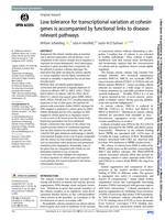 Low tolerance for transcriptional variation at cohesin genes is accompanied by functional links to disease-relevant pathways