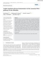 Leptin regulates glucose homeostasis via the canonical Wnt pathway in the zebrafish