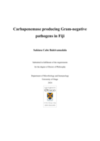 Carbapenemase producing gram-negative pathogens in Fiji