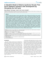 A zebrafish model of Roberts syndrome reveals that Esco2 depletion interferes with development by disrupting the cell cycle