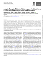 A leptin receptor mutation which impairs fertility in ewes causes delayed puberty in male and female mice