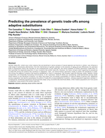 Predicting the prevalence of genetic trade-offs among adaptive substitutions