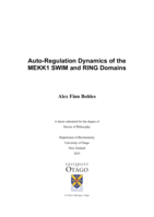 Auto-regulation dynamics of the MEKK1 SWIM and RING domains