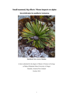 Small mammal, big effects: Mouse impacts on alpine invertebrates in southern Aotearoa