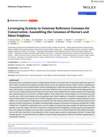 Leveraging Synteny to Generate Reference Genomes for Conservation: Assembling the Genomes of Hector's and Māui Dolphins