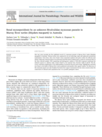 Renal myxosporidiosis by an unknown Bivalvulidan myxozoan parasite in Murray River turtles (Emydura macquarii) in Australia