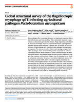 Global structural survey of the flagellotropic myophage φTE infecting agricultural pathogen Pectobacterium atrosepticum