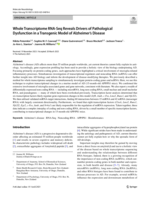 Whole Transcriptome RNA-Seq Reveals Drivers of Pathological Dysfunction in a Transgenic Model of Alzheimer's Disease