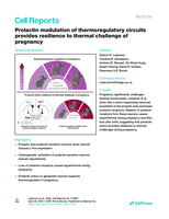Prolactin modulation of thermoregulatory circuits provides resilience to thermal challenge of pregnancy
