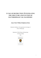 A tail of destruction: Investigating the structure and function of bacteriophage tail machinery