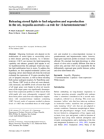Releasing stored lipids to fuel migration and reproduction in the eel, Anguilla australis - a role for 11-ketotestosterone?