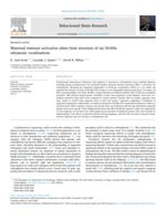 Maternal immune activation alters bout structure of rat 50-kHz ultrasonic vocalizations