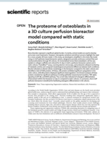 The proteome of osteoblasts in a 3D culture perfusion bioreactor model compared with static conditions