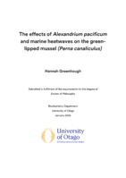 The effects of Alexandrium pacificum and marine heatwaves on the green-lipped mussel (Perna canaliculus)