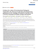 Evidence for a Role of Extraintestinal Pathogenic Escherichia coli, Enterococcus faecalis and Streptococcus gallolyticus in the Aetiology of Exudative Cloacitis in the Critically Endangered Kākāpō (Strigops habroptilus)