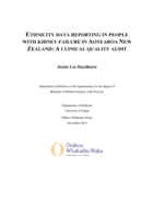 Ethnicity data reporting in people with kidney failure in Aotearoa New Zealand: a clinical quality audit