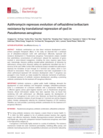 Azithromycin represses evolution of ceftazidime/avibactam resistance by translational repression of rpoS in Pseudomonas aeruginosa