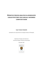 Operative process analysis in laparoscopic cholecystectomy for clinically informed computer vision