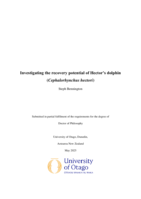 Investigating the recovery potential of Hector's dolphin (Cephalorhynchus hectori)