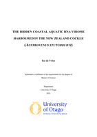 The Hidden Coastal Aquatic RNA Virome Harboured in the New Zealand cockle (Austrovenus stutchburyi)