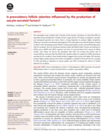 Is preovulatory follicle selection influenced by the production of oocyte-secreted factors?