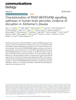 Characterisation of PDGF-BB:PDGFRβ signalling pathways in human brain pericytes: evidence of disruption in Alzheimer's disease