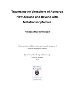 Traversing the virosphere of Aotearoa New Zealand and beyond with metatranscriptomics