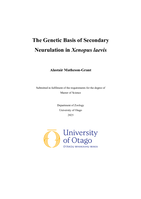 The Genetic Basis of Secondary Neurulation in Xenopus laevis