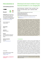 Behavioural and neural correlates of social hierarchy formation in a sex-changing fish