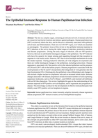 The Epithelial Immune Response to Human Papillomavirus Infection