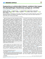Engineering an antimicrobial chimeric endolysin that targets the phytopathogen Pseudomonas syringae pv. actinidiae