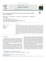 The membrane-binding bacterial toxin long direct repeat D inhibits protein translation