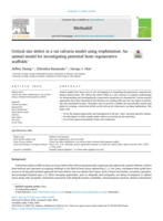 Critical size defect in a rat calvaria model using trephination: An animal model for investigating potential bone regenerative scaffolds