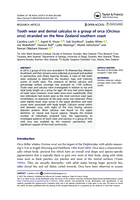 Tooth wear and dental calculus in a group of orca (Orcinus orca) stranded on the New Zealand southern coast