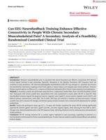 Can EEG-Neurofeedback Training Enhance Effective Connectivity in People With Chronic Secondary Musculoskeletal Pain? A Secondary Analysis of a Feasibility Randomized Controlled Clinical Trial